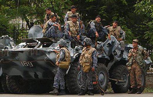 Заштита Узбекистана (војска): оцена, снага