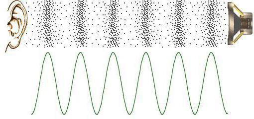 примјери звучних феномена у физици
