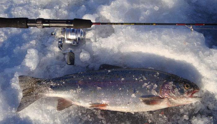 Зимски риболов у Карелији: риболовне могућности