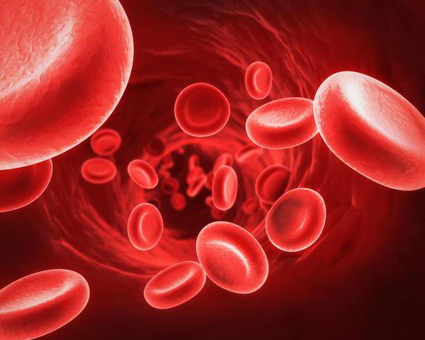 Трансфузија крви са ниским хемоглобином: последице, опис поступка и карактеристике третмана